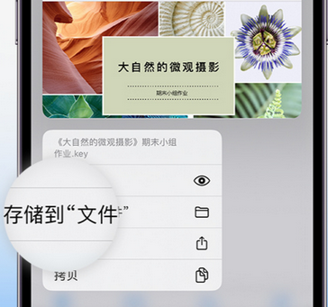 汉台apple维修中心分享iPhone文件应用中存储和找到下载文件