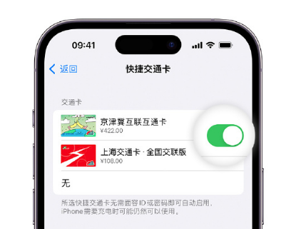 汉台apple维修点分享iPhone上更换Apple Pay快捷交通卡手绘卡面 