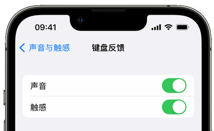 汉台苹果手机维修分享iPhone 14触感键盘使用方法 