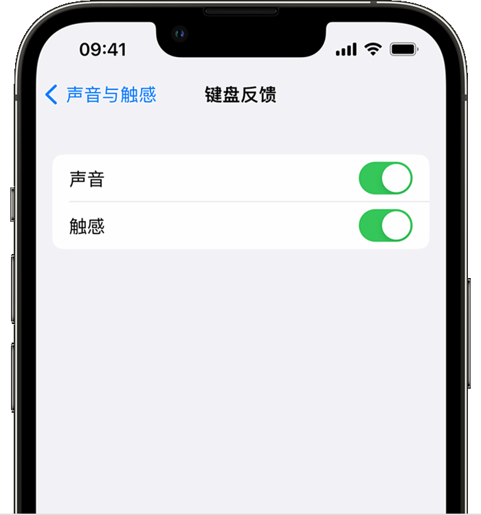 汉台苹果14维修店分享如何在 iPhone 14 机型中使用触感键盘 