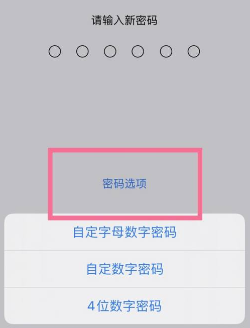 汉台苹果14维修分享iPhone 14plus设置密码的方法 