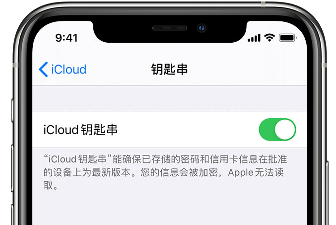 汉台苹果手机维修分享在 iPhone 上开启 iCloud 钥匙串之后会储存哪些信息 