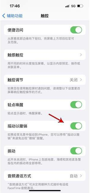 汉台苹果手机维修分享iPhone手机如何设置摇一摇删除文字 